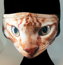 Load image into Gallery viewer, Scary Pussycat Facemask

